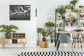 Botanic dining room interior
