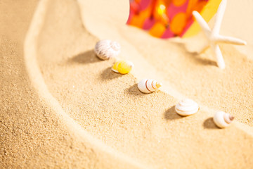 Fototapeta na wymiar Summer Season, selective focus on seashells with starfish and spotty sandals or dotty flip-flop on sandy beach background and copy space. Traveling and feeling lonely, cheering up, rest, refresh