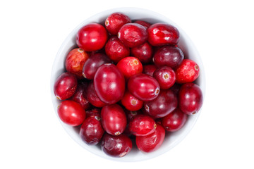 Cranberries Cranberrys Beeren von oben isoliert freigestellt Freisteller