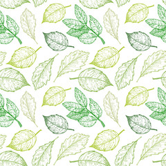 Hand drawn vector illustration. Spring seamless pattern with green leaves, herbs and branches. Floral Design elements. Perfect for wedding invitations, greeting cards, blogs, posters and more