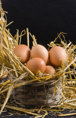 Fresh farm eggs on a wooden rustic background