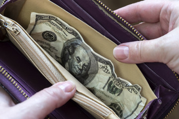 Hands holding a purse in which lie one hundred dollars