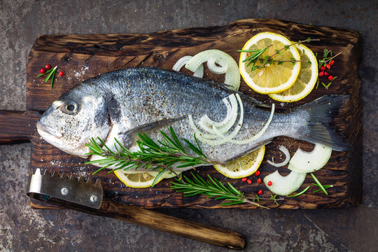 Fresh fish dorado with ingredients for cooking on wooden board. Raw sea bream or dorada fish on dark vintage metal background. Dietary food. Top view