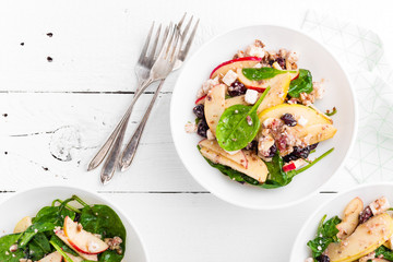 Healthy fruit and berry salad with fresh apples, cranberries, walnuts, italian ricotta cheese and spinach leaves. Delicious and nutritious diet dish for breakfast