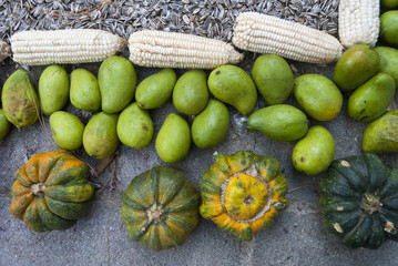 Traditional Easter carpet decorated with green mango, corn, pumpkin in Guatemala.