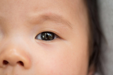 Closeup Asian infant baby eye