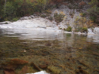 ruscello appenninico
