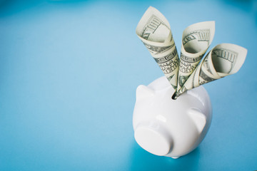 White piggy bank and money on blue background, saving concept