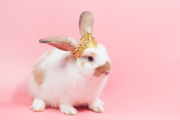 White rabbit on pink background, symbol of Easter celebration