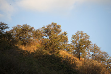 Obraz premium Mountain covered with dry grass, deforestation in Guatemala, colorful sunset.