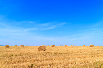 Obraz premium golden straw stubble field in autumn