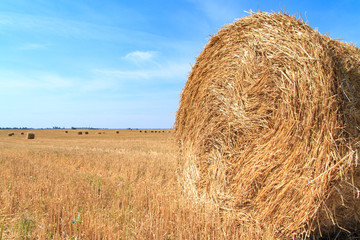 golden straw stubble field in autumn