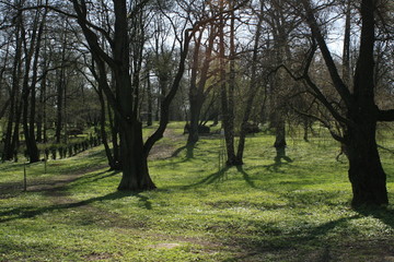 Obraz premium Baltic Sea, park in Tallinn, Estonia