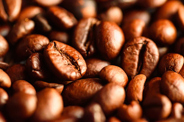 Close-up of brown roasted coffee beans