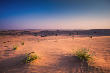 Arabic desert