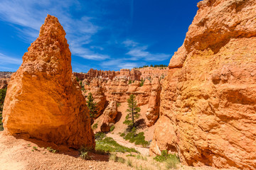 Obraz na płótnie Canvas Bryce Canyon National Park - Hiking on the Queens Garden Trail and Najavo Loop into the canyon, Utah, USA.