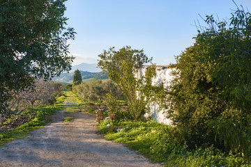 Campo