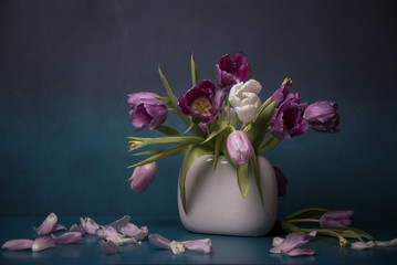 tulips in vase on turquoise background