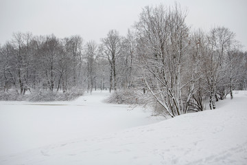 Fototapeta premium Парк