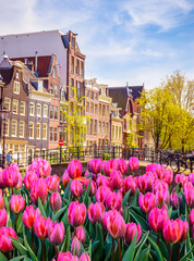 Obraz premium Traditional old buildings and tulips in Amsterdam, Netherlands