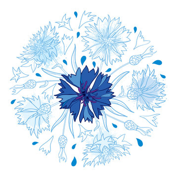 recommend clip art: Vector round bouquet with outline Cornflower, Knapweed or Centaurea flower, bud and leaf in pastel blue isolated on white background. Ornate contour Cornflower bunch for summer design. 