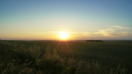 Fototapeta na wymiar Beautiful sunset over green field, blue sky