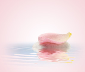 spa relaxant de un pétalo sobre una piedra en el agua