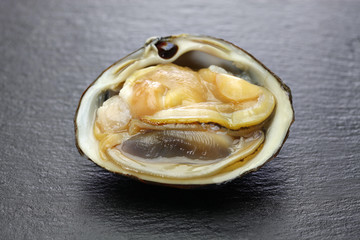 opened the shell of hokkigai (sakhalin surf clam) , japanese bivalve