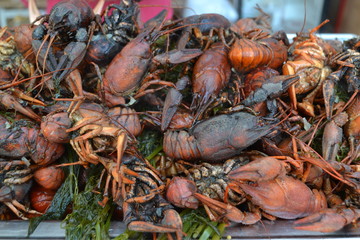 Crayfish