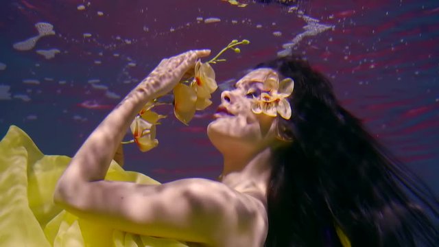 delightful woman with long dark hair in a yellow dress with a branch of chrysanthemum flowers in her hands floats underwater like in a fairy tale
