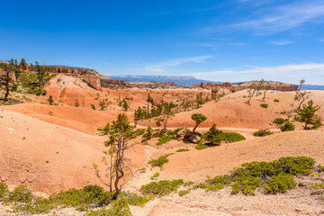 Bryce Canyon National Park - Hiking on the Queens Garden Trail and Najavo Loop into the canyon, Utah, USA.