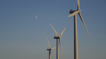 Tree windmills in sunset 