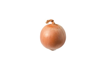 Isolated onion. One onion isolated on a white background