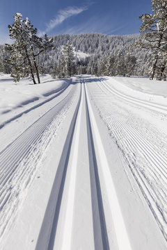 Cross-country ski trail on a beautiful winter day in Switzerland