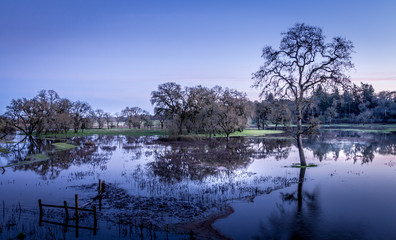 A wetlands with trees and islands is taken in the early evening. A deep purple sky is in the background. The trees are reflected in the water.