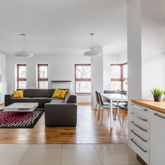 Modern apartment with living room