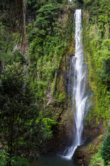 Plakat Tropical waterfalls in Costa Rica