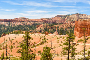 Bryce Canyon National Park - Hiking on the Queens Garden Trail and Najavo Loop into the canyon, Utah, USA.