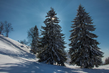 Sunny day in the mountains. 