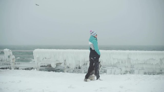 Young female with siberian husky dog on the beach at snow storm, slow motion
