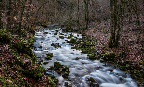 A hidden qem. A small stream in the Lower Carniola region