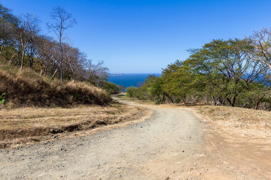 Road to the beach
