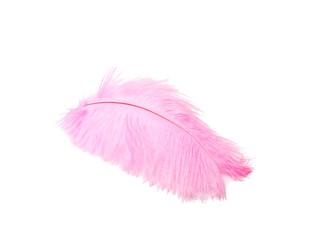 Colorful feather isolated on the white