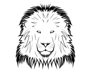 Lion vector illustration 