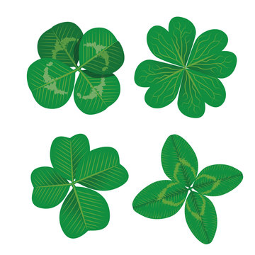 Set of four leaf clovers. Realistic vector illustration. Vector EPS10.
