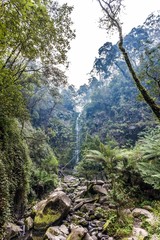 Erskine Falls in Victoria Australia