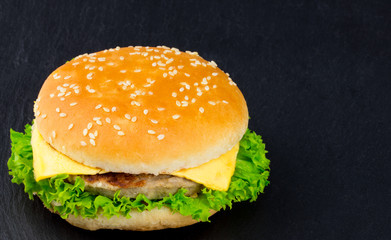  fresh tasty burger on black textured background