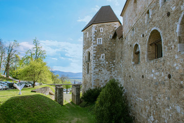 Fototapeta na wymiar Castle Ljubljana