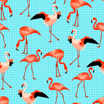 Seamless pattern with flamingo. Tropical bright abstract birds
