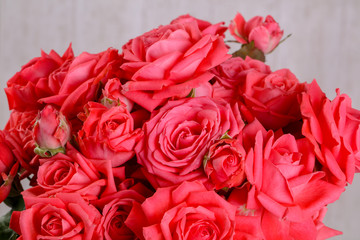 Red roses flowers